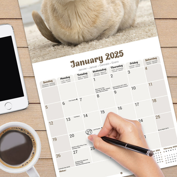 Burmese Cats Calendar 2025