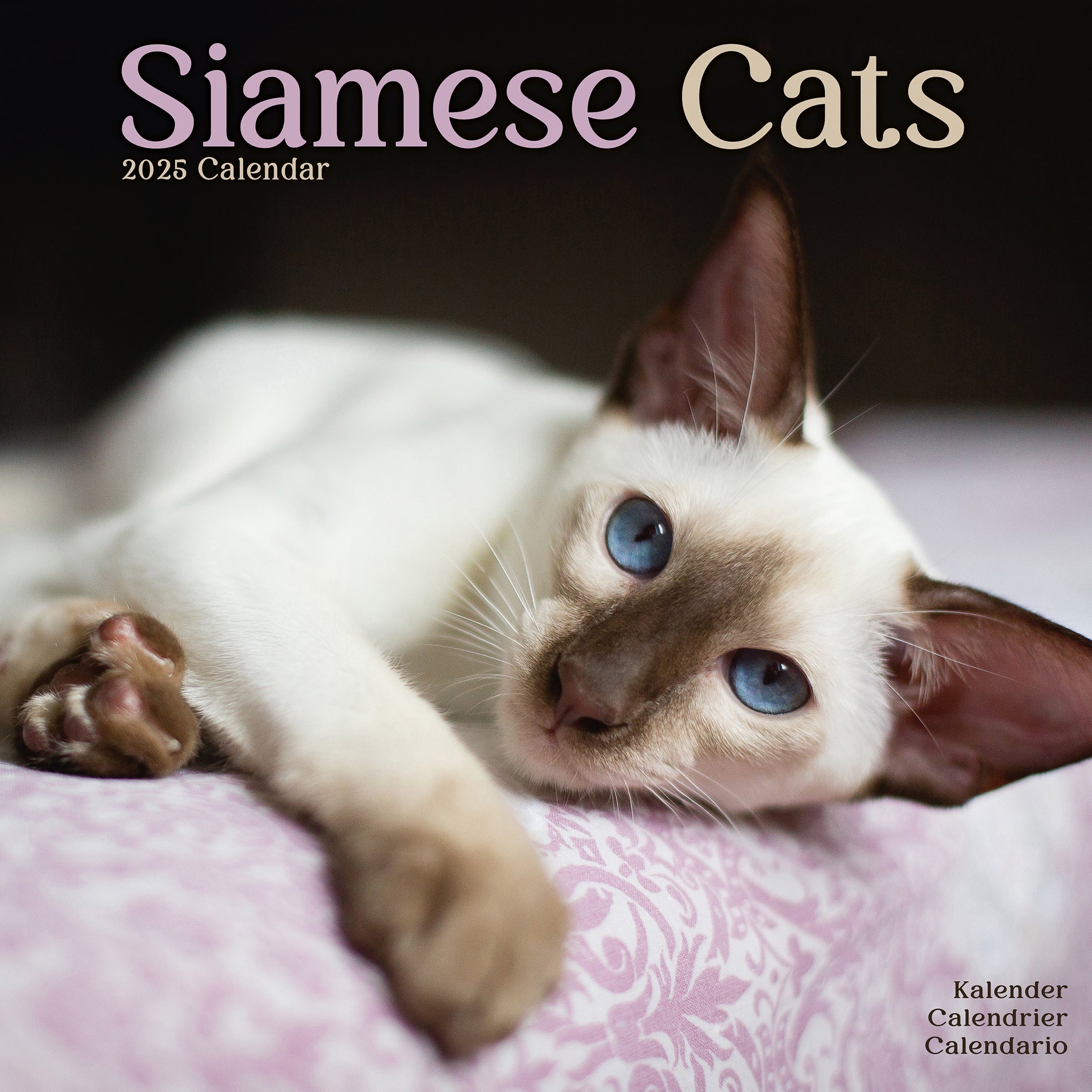 Siamese Cats Calendar 2025