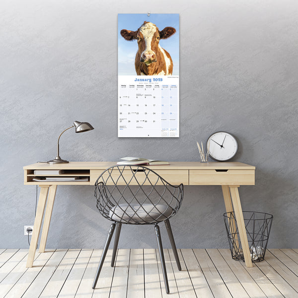 Cows Calendar 2025