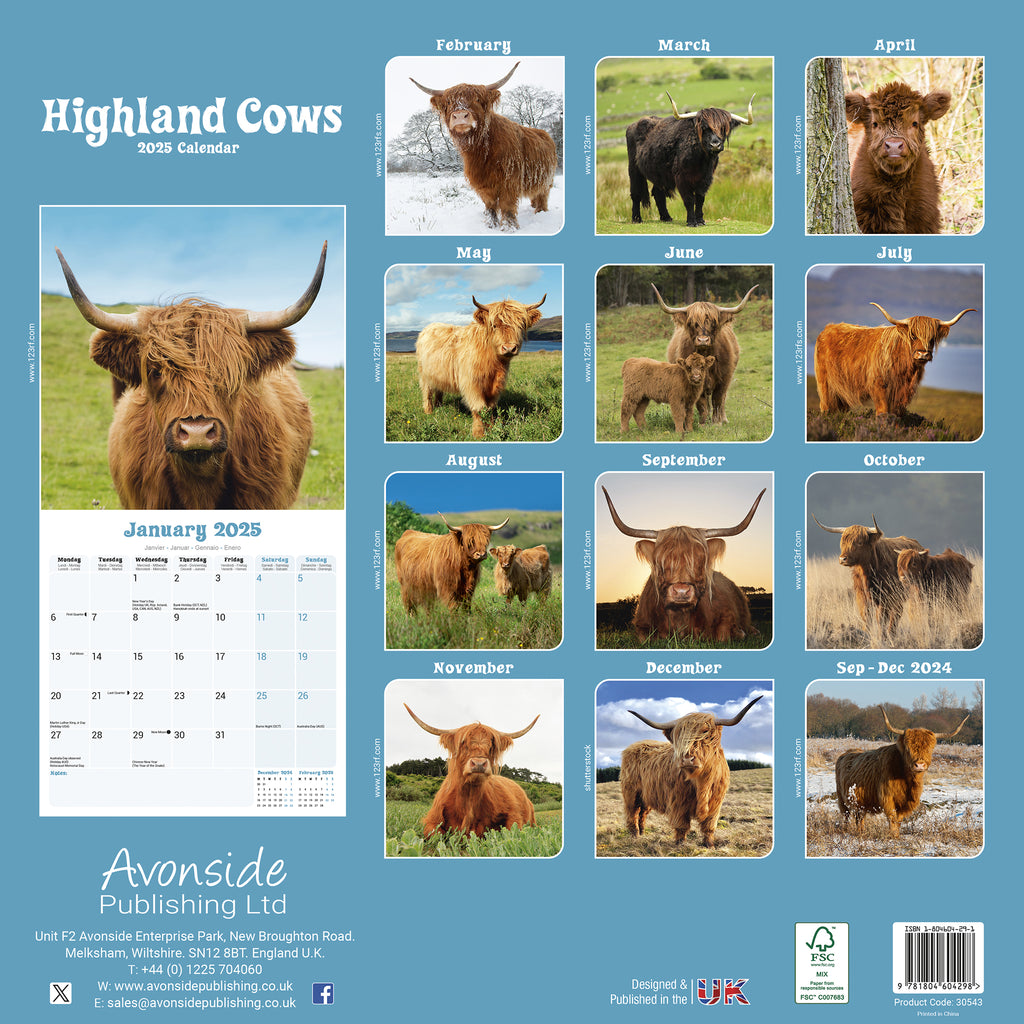 Highland Cows Calendar 2025 Avonside Publishing Ltd