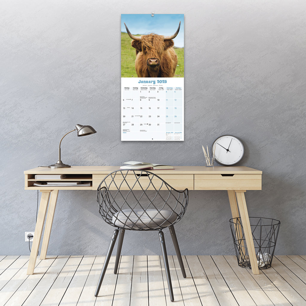 Cow Calendar December 2025