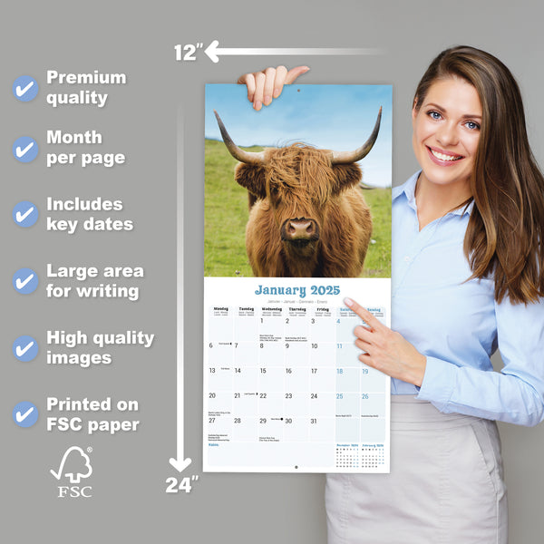 Highland Cows Calendar 2025