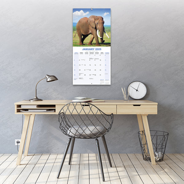 Elephants Calendar 2025