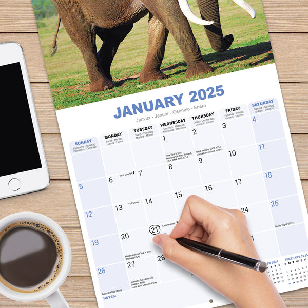 Elephants Calendar 2025