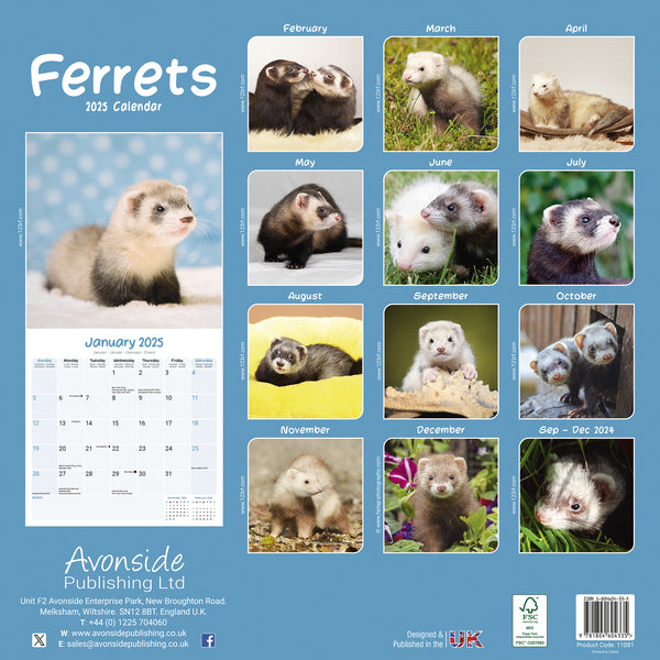 Ferrets Calendar 2025