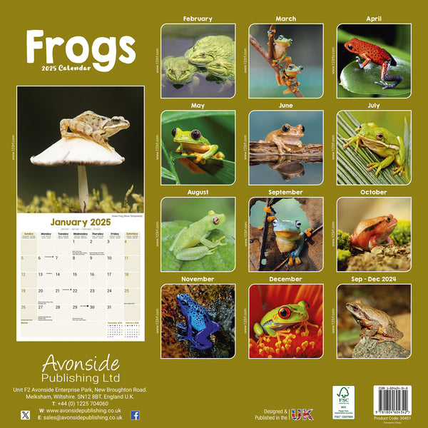 Frogs Calendar 2025