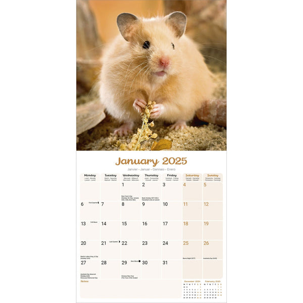 Hamsters Calendar 2025