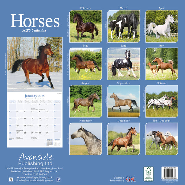 Horses Calendar 2025