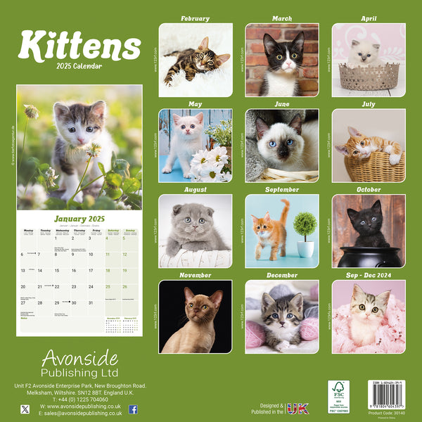 Kittens Calendar 2025