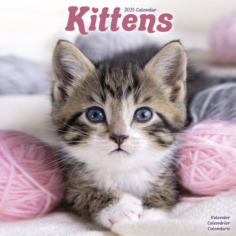 Kittens Calendar 2025