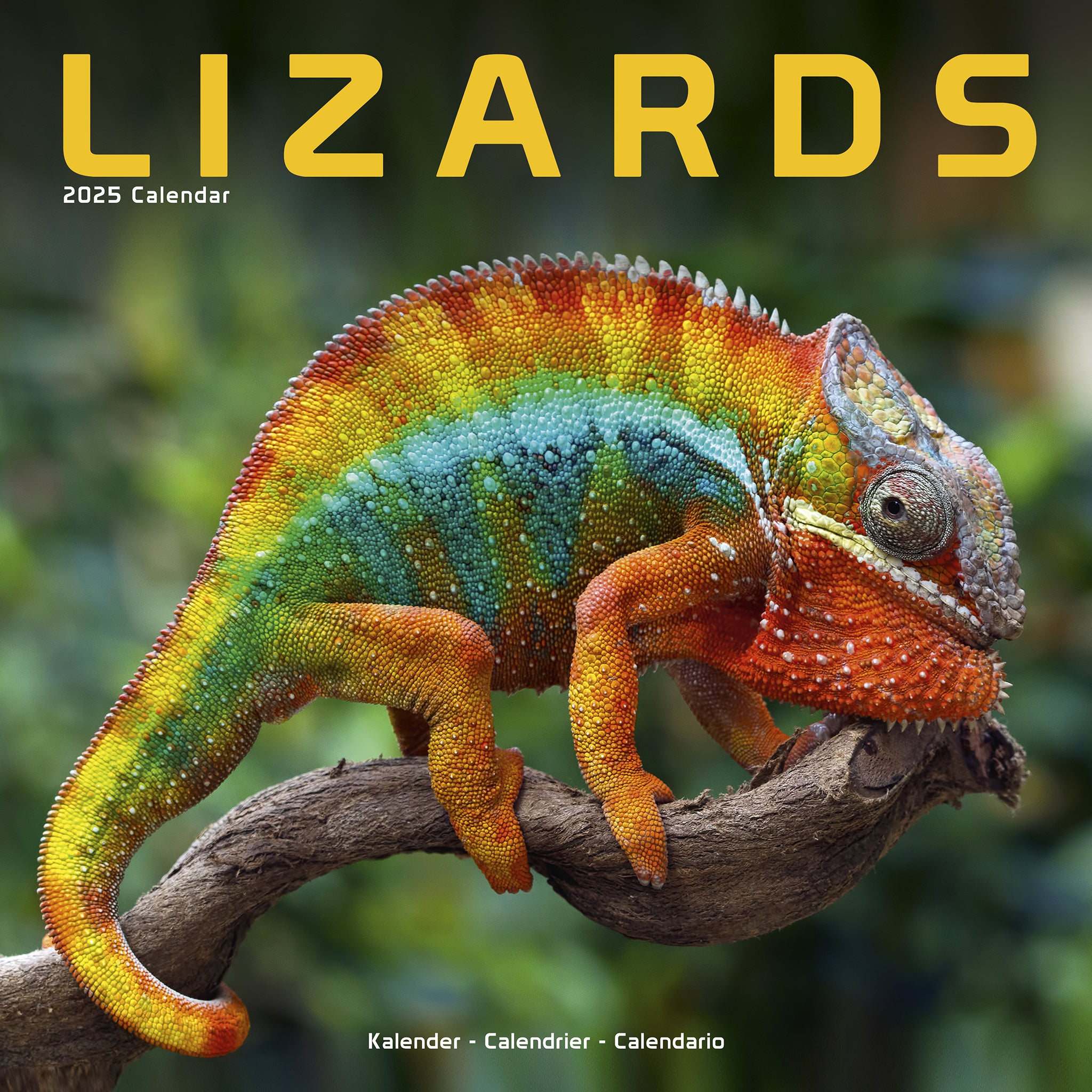 Lizards Calendar 2025