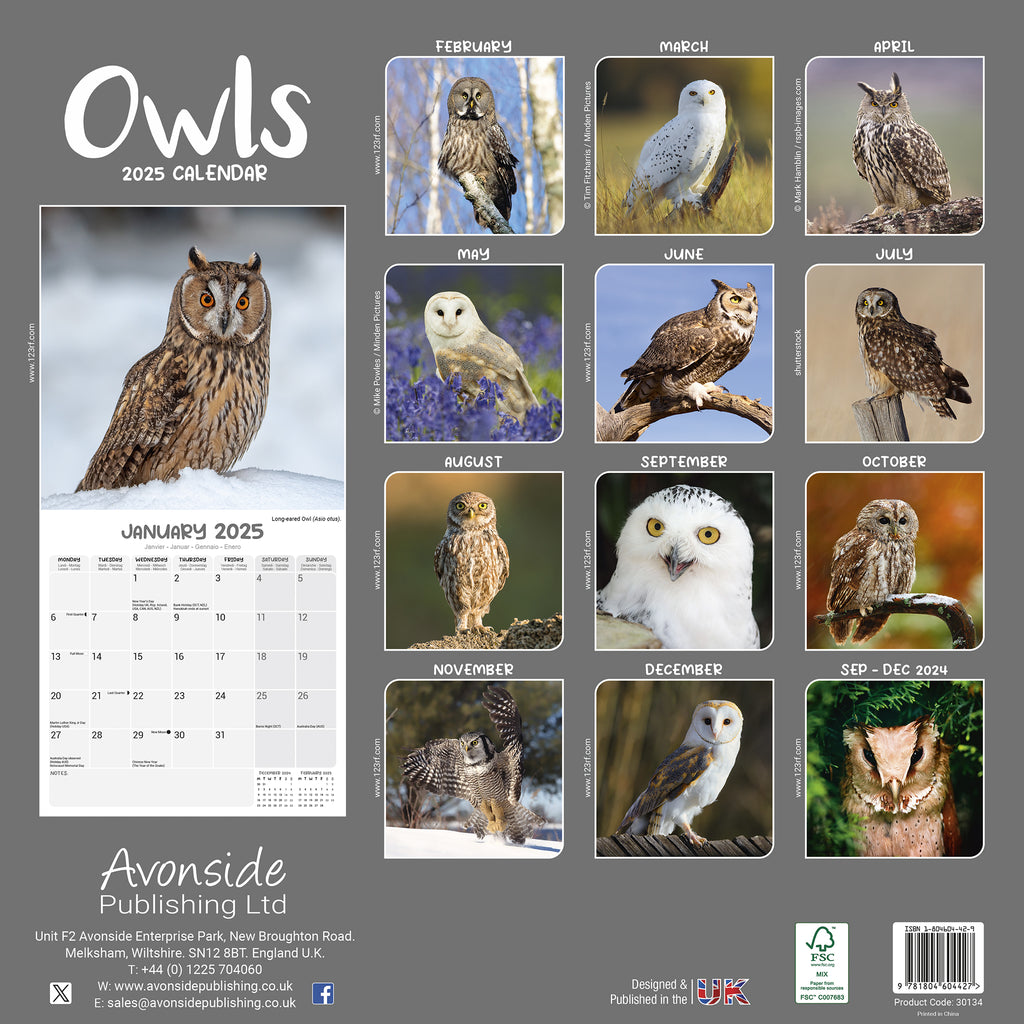 Owl Wall Calendar 2025