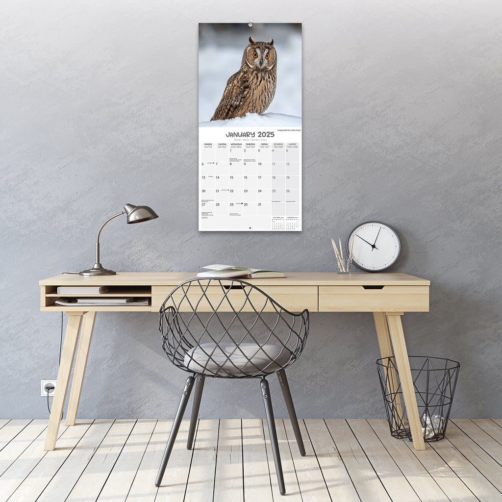 Owls Calendar 2025 Avonside Publishing Ltd