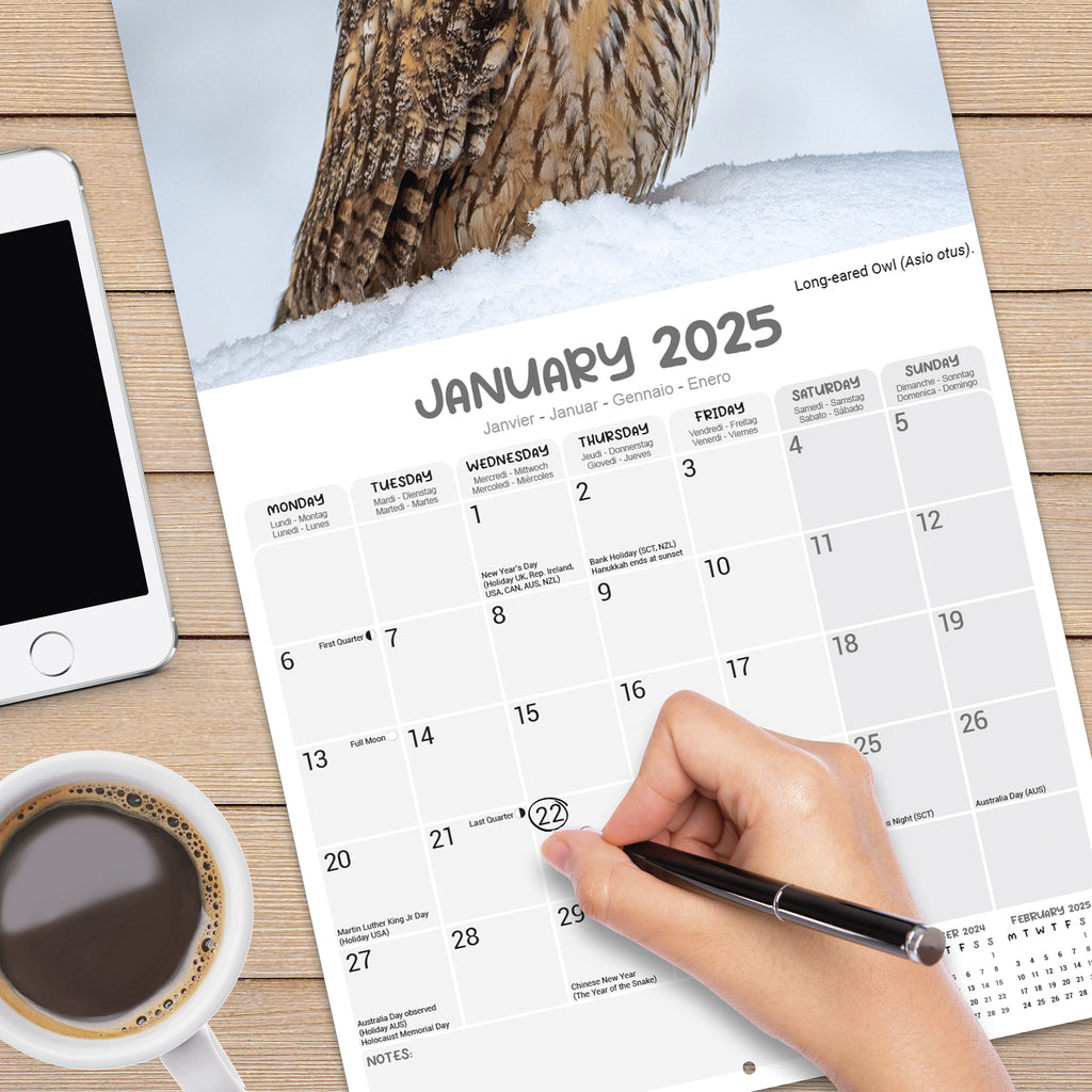 Owis Calendar 2025 21 Images References :
