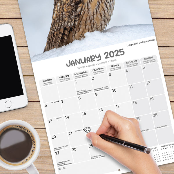 Owls Calendar 2025