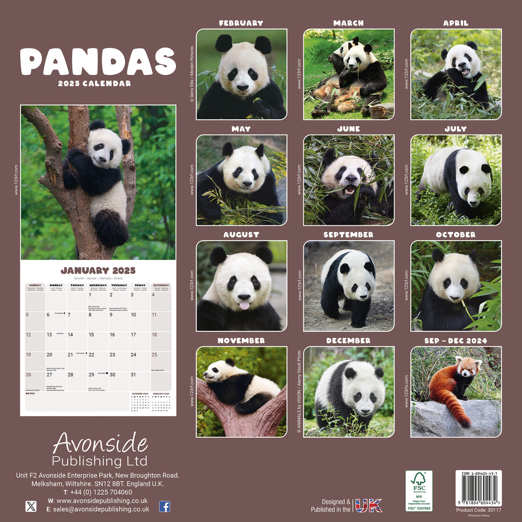 Pandas Calendar 2025 Avonside Publishing Ltd