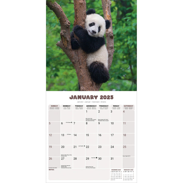 Pandas Calendar 2025