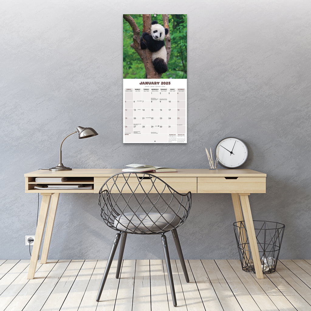 Pandas Calendar 2025 Avonside Publishing Ltd