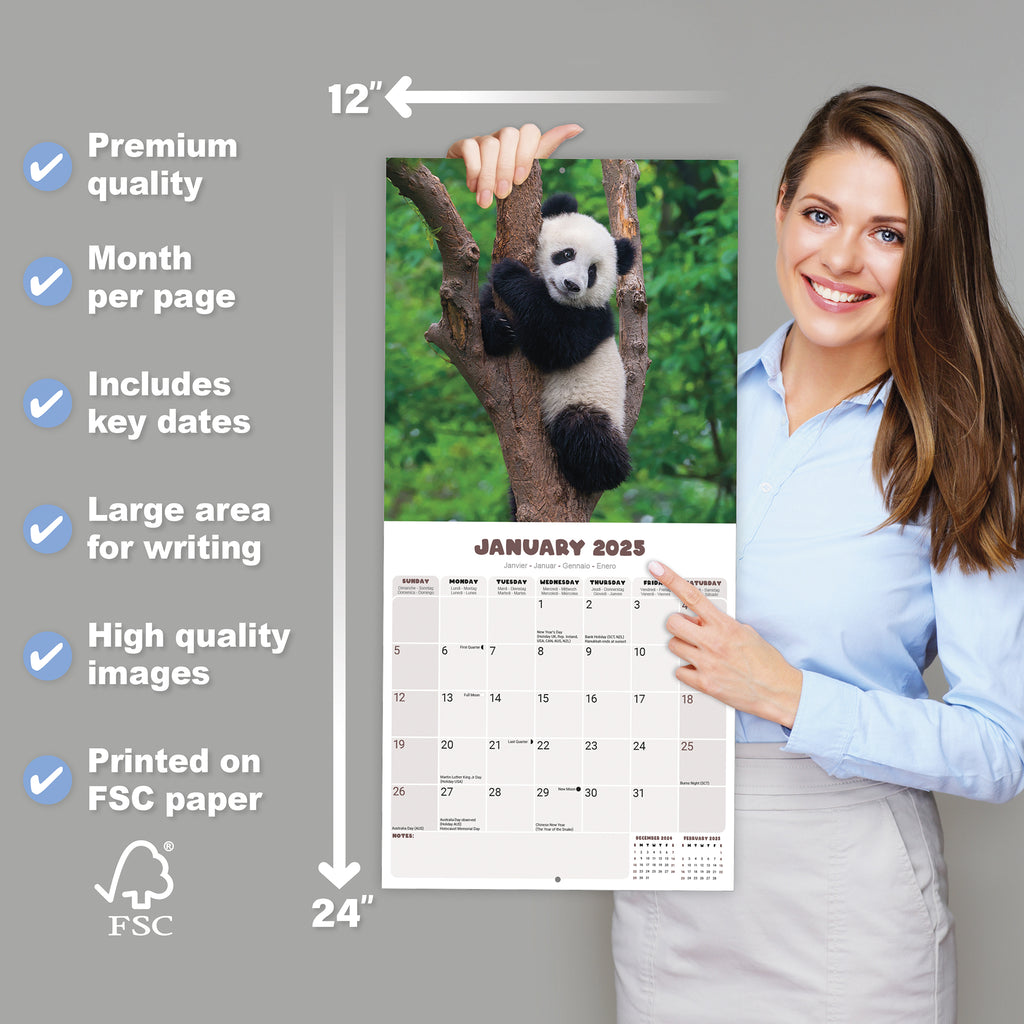 Pandas Calendar 2025 Avonside Publishing Ltd