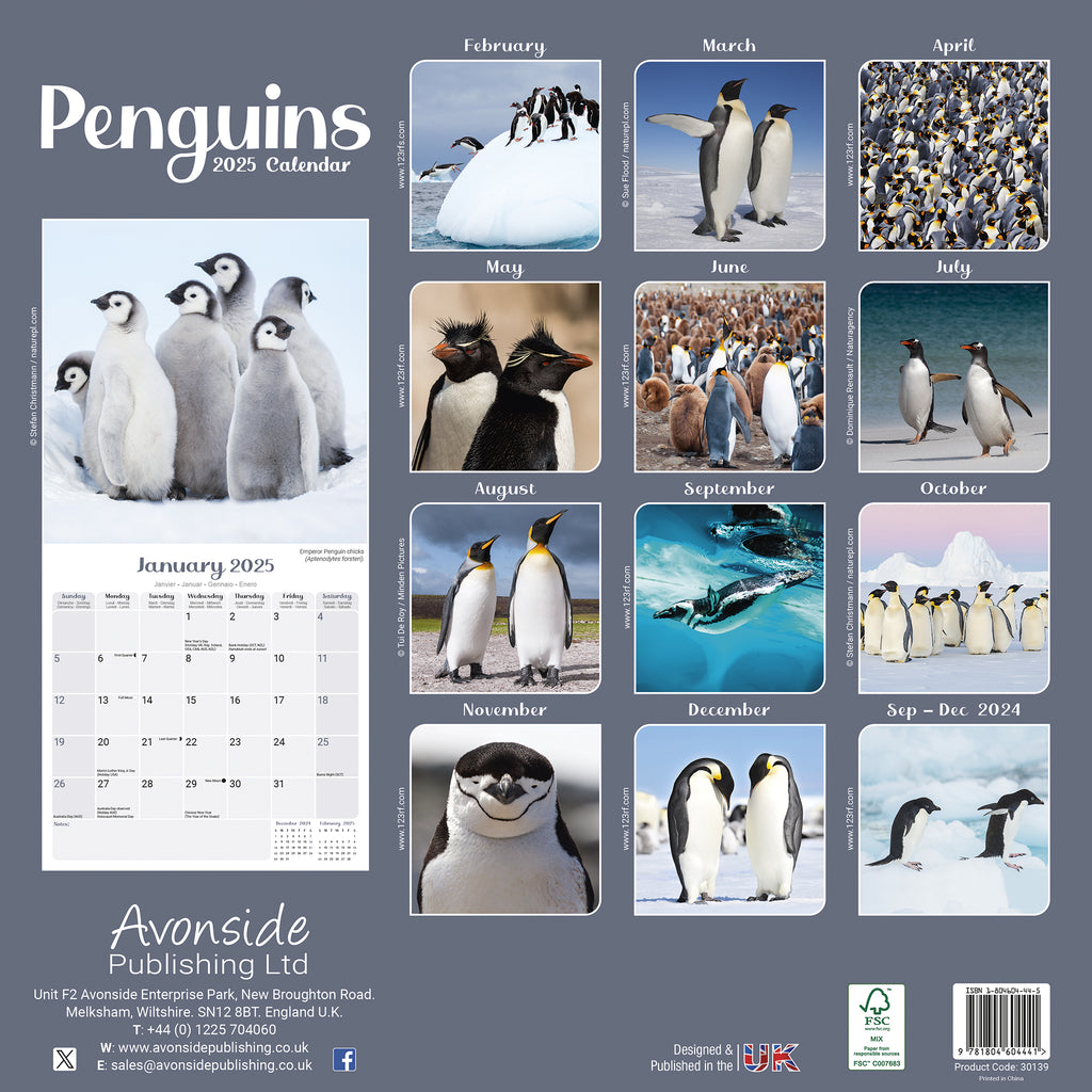 Penguins Calendar 2025 Avonside Publishing Ltd