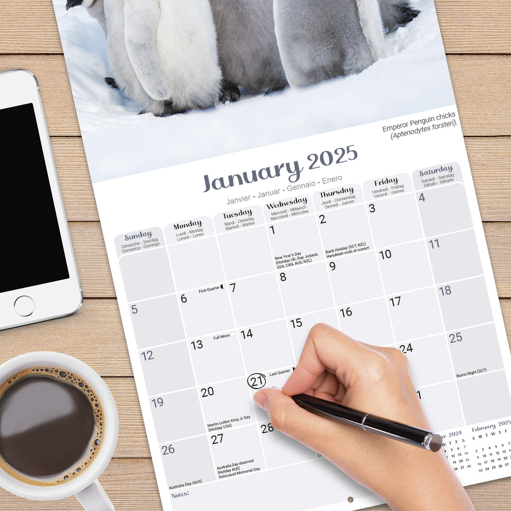 Penguins Calendar 2025 Avonside Publishing Ltd Eric The Penguin Calendar 2025 Uk