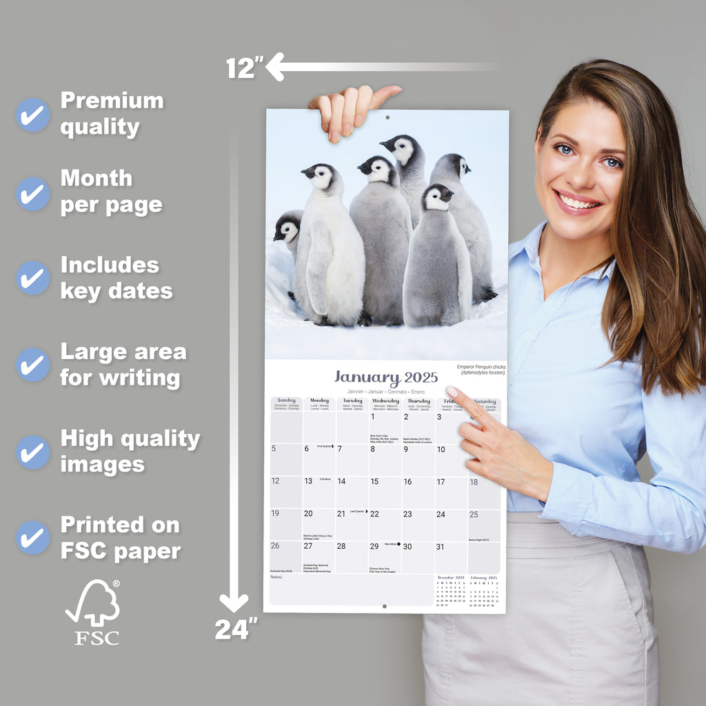 Penguins Calendar 2025 Avonside Publishing Ltd Eric The Penguin Calendar 2025 Uk