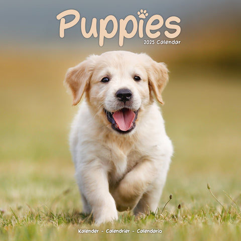 Puppies Calendar 2025