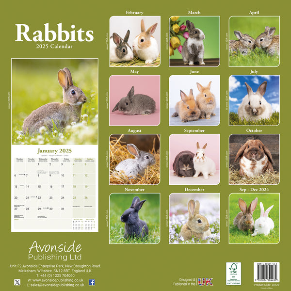 Rabbits Calendar 2025