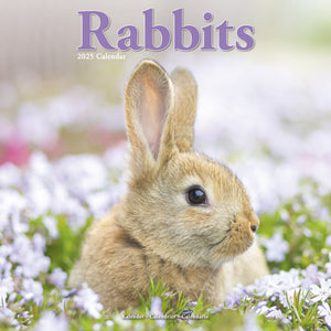 Rabbits Calendar 2025