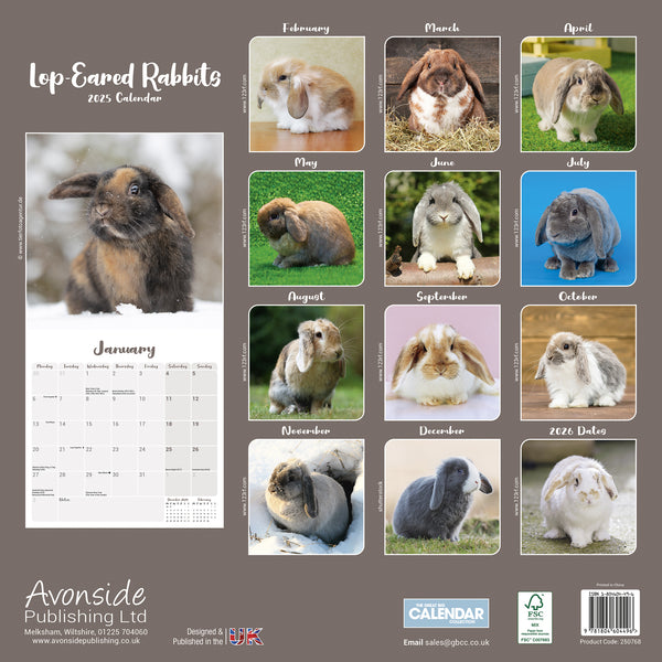 Lop Eared Rabbits Calendar 2025