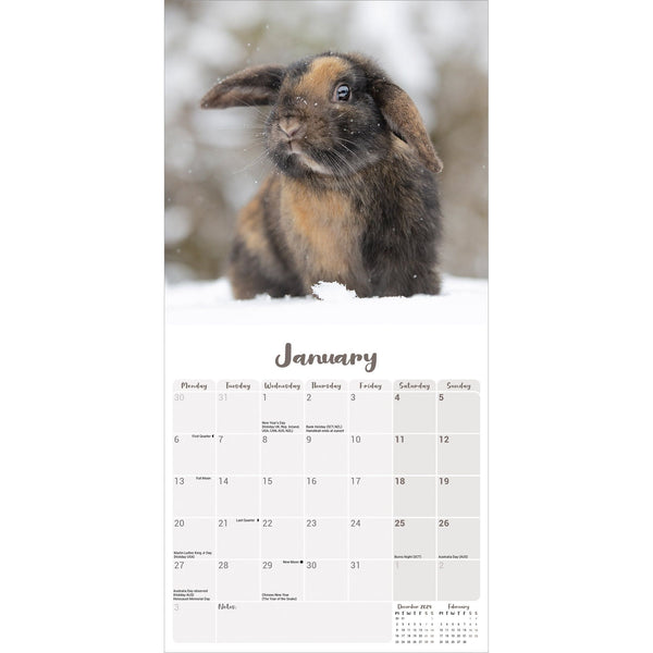 Lop Eared Rabbits Calendar 2025