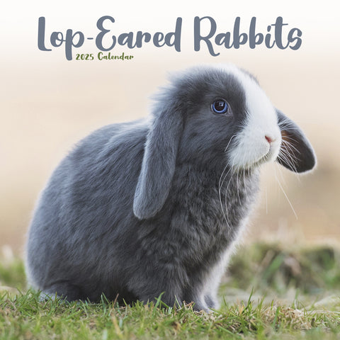 Lop Eared Rabbits Calendar 2025