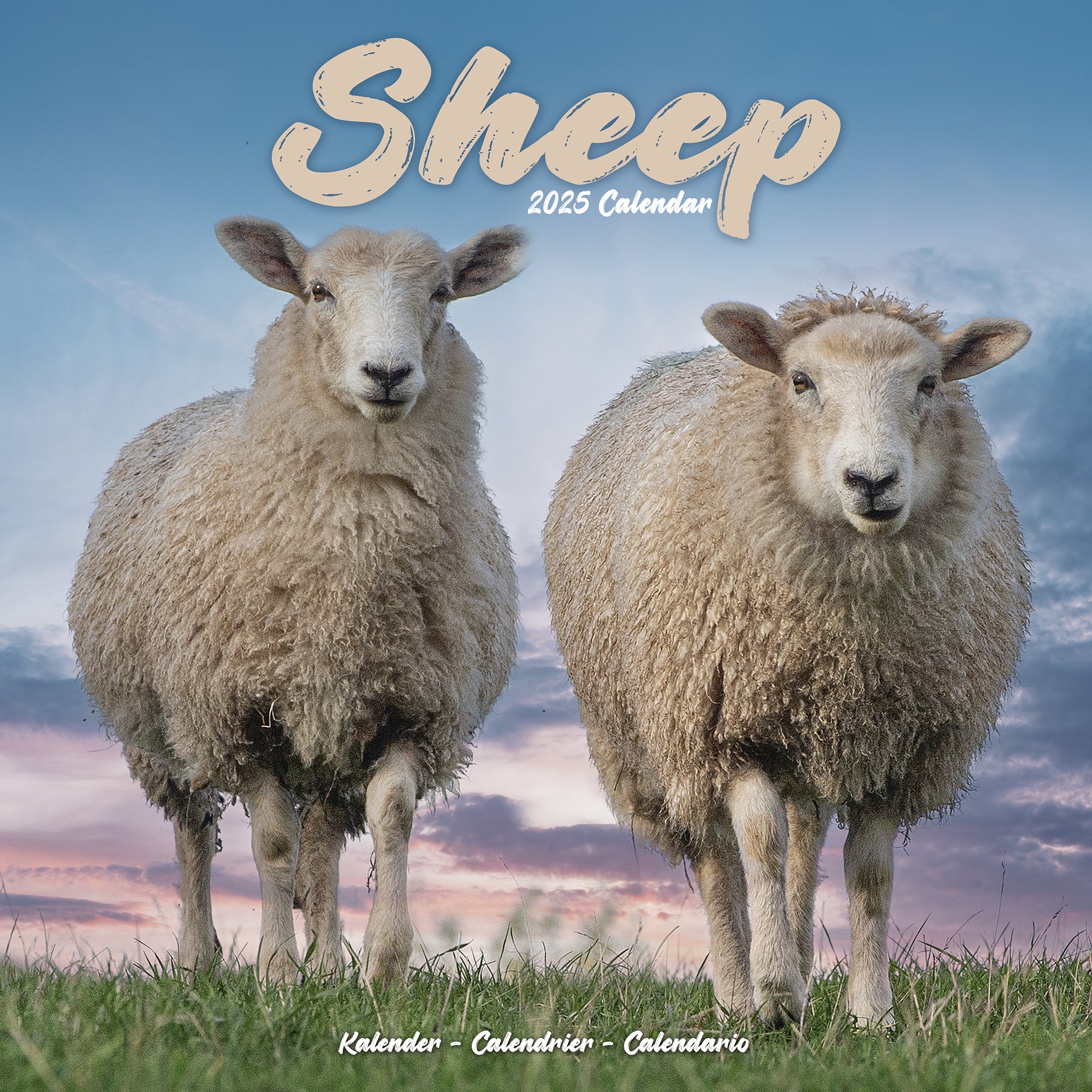 2025 Sheep Show