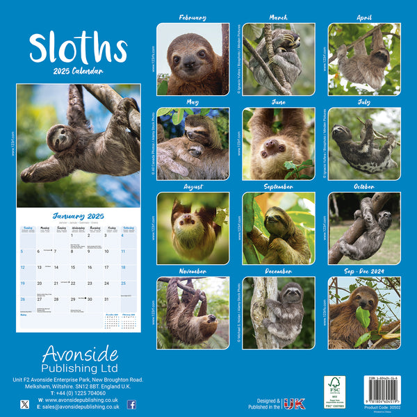 Sloths Calendar 2025