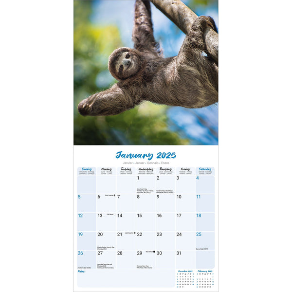 Sloths Calendar 2025