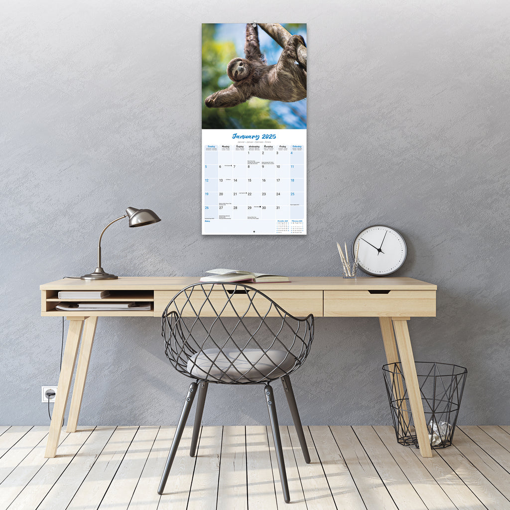 Sloths Calendar 2025 Avonside Publishing Ltd