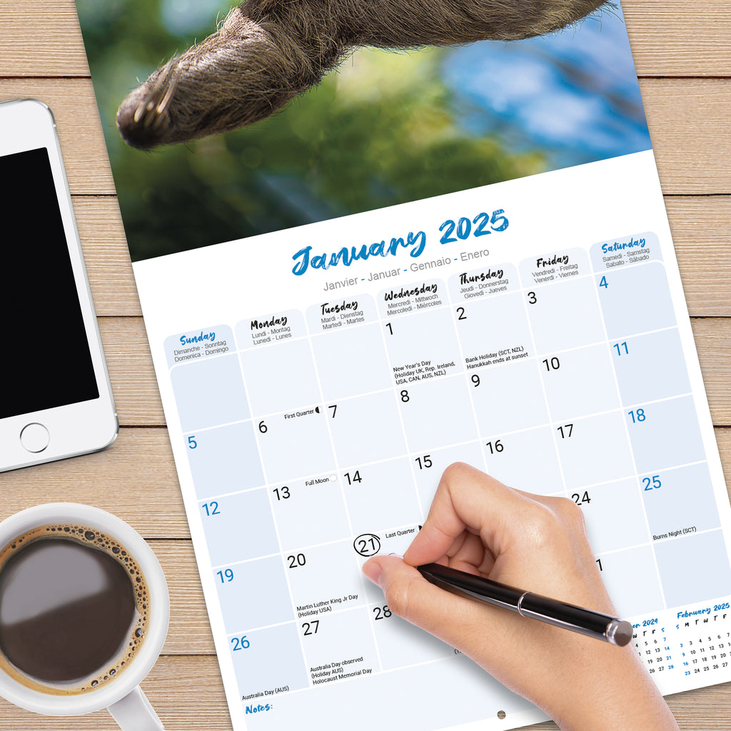 Sloths Calendar 2025 Avonside Publishing Ltd