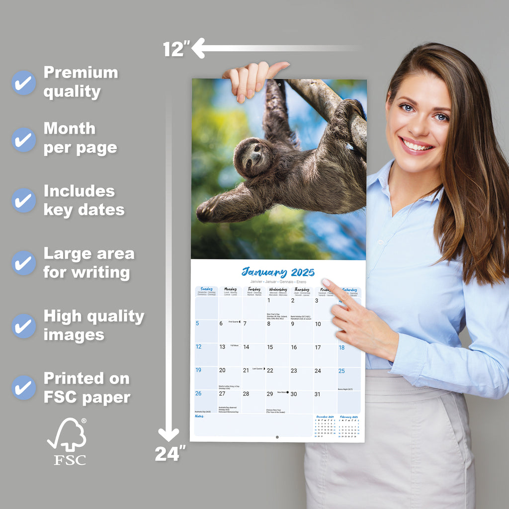 Sloths Calendar 2025 Avonside Publishing Ltd