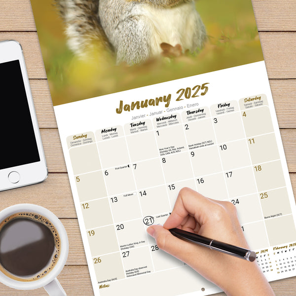 Squirrels Calendar 2025