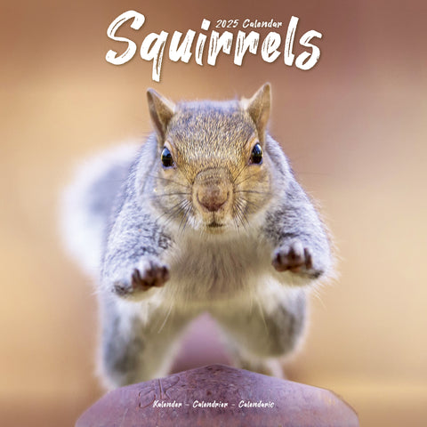 Squirrels Calendar 2025