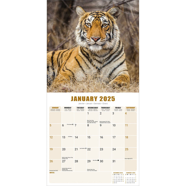 Tigers Calendar 2025