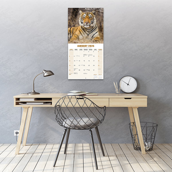 Tigers Calendar 2025