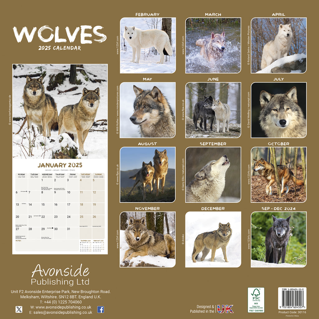 Wolves Calendar 2025 Avonside Publishing Ltd