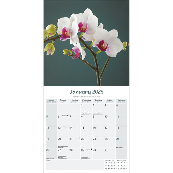 Orchids Calendar 2025
