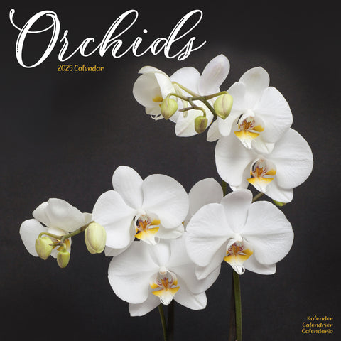 Orchids Calendar 2025