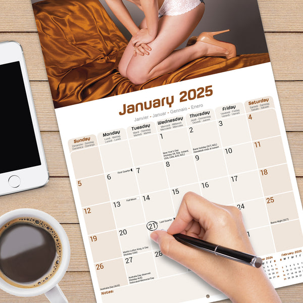 Retro Pin Ups Calendar 2025