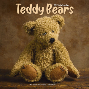 Teddy Bears Calendar 2025