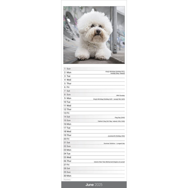 Bichon Frise Calendar 2025 Slimline