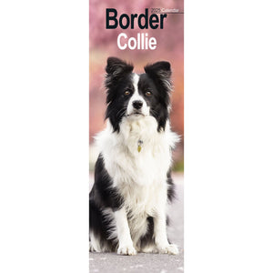Border Collie Calendar 2025 Slimline