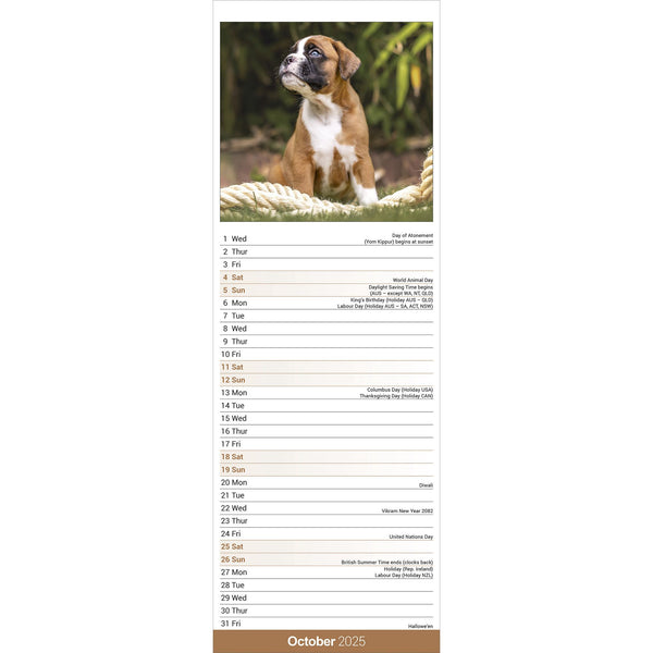 Boxer Calendar 2025 Slimline